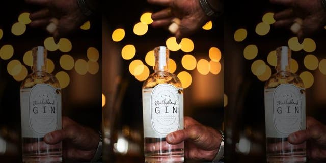 e664c7be-gin