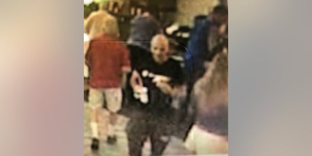 Police believe this man may have stolen the van full of show dogs.