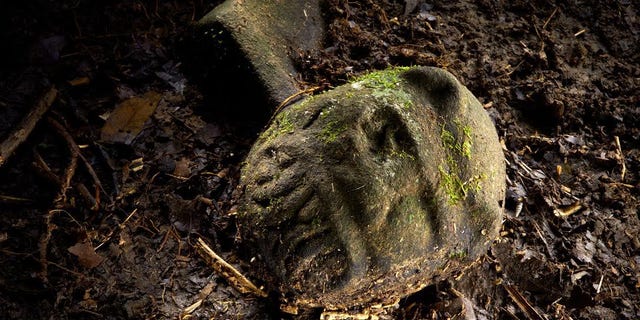A cache of at least 51 artifacts, found partly exposed, lie in a cache in a secret location in the Mosquitia jungle in Honduras.