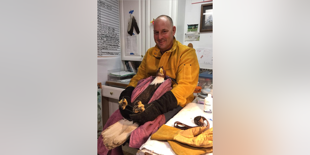 Lt. Jeff Woods rescued a bald eagle on Christmas Eve.