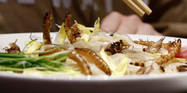 Researchers in Scotland say that replacing beef with bugs could save the planet.