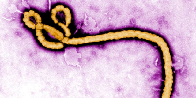 ebola congo