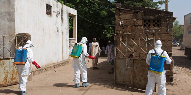 Health workers spray disinfectant at a mosque, in Bamako November 14, 2014. REUTERS/Joe Penney