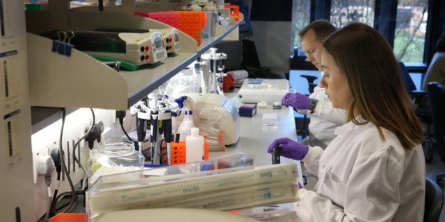 CAMBRIDGE, UNITED KINGDOM - DECEMBER 10: Researchers Dr Sarah-Jane Dawson (R) and Dr Tim Forshew work at the Cancer Research UK Cambridge Research Institute on December 10, 2012 in Cambridge, England. The government has announced GBP £100million of funding to enable 100,000 patients with cancer and rare diseases to have their entire genetic code sequenced. (Photo by Peter Macdiarmid - WPA Pool/Getty Images)