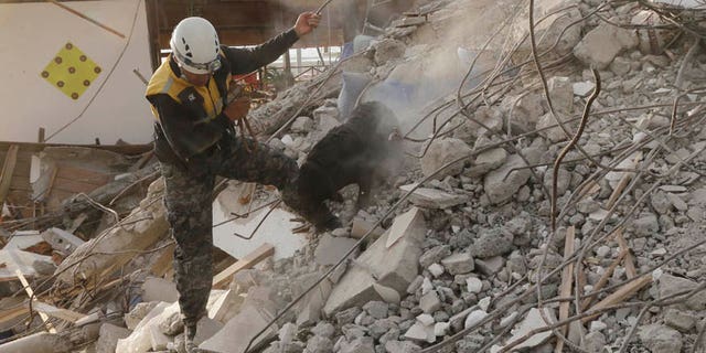 April 19, 2016: A dog rescue unit searches for survivors in the rubble of an earthquake collapsed building in Pedernales, Ecuador.