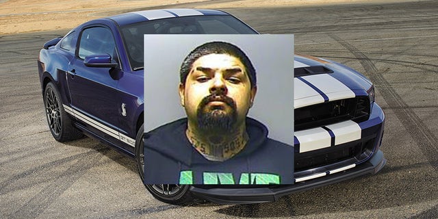 Shelby Mustang GT500 Miller mug shot