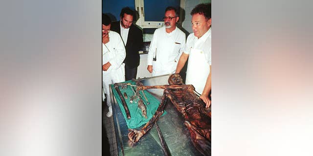 FILE - In this Jan. 16, 1998 file picture the 5,000-year-old body of Iceman Oetzi, discovered in 1991 on the Similaun glacier is inspected by scientists in Innsbruck, Scientists say Oetzi wore clothes made of brown bear pelt and roe deer when he died in the Alps 5,300 years ago. Researchers in Italy used genetic analysis to determine that the materials were used for Oetzi’s fur hat and his leather quiver respectively. Niall O’Sullivan, a researcher at the European Academy of Bolzano, Italy, said the study published Thursday Aug, 18, 2016 in the journal Scientific Reports also showed that other pieces of Oetzi’s clothing came from domesticated animals. (AP Photo/str)