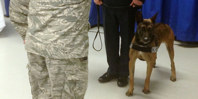 April 11, 2014: In 2012, Eddie found two improvised explosive devices containing 10 pounds of homemade explosives in Afghanistan. It saved a soldier's life and the lives of his 13-member patrol unit. Eddie retired Friday, receiving fully military honors during the ceremony. (AP/Tamara Lush)