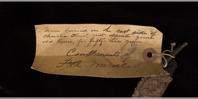 The note from Edison's aide F.A. Wardlaw (The Raab Collection).