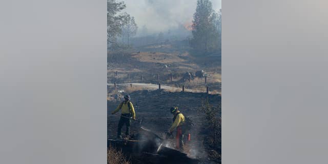 A fire crew cleans up a hot spot near Lower Lake, Calif., Thursday, Aug. 13, 2015. Crews battling the wind-stoked blaze took advantage of cooler temperatures Thursday to clear brush and expand containment lines with bulldozers and hand tools. (AP Photo/Jeff Chiu)