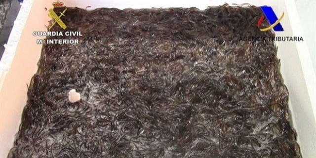 Spanish police confiscated more than 680 pounds of young eels being smuggled out of the country.