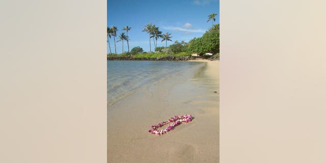 Garland of flowers washed up on the beach