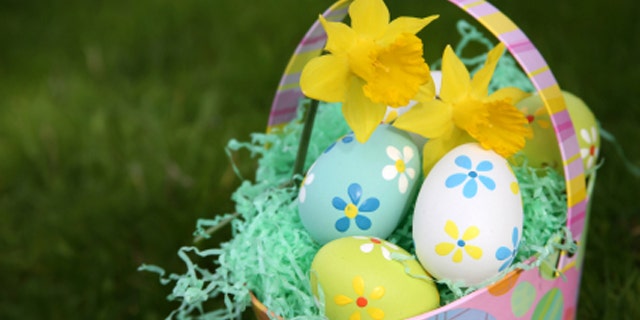 Colorful Easter Eggs in Grass with Basket with Daffodils