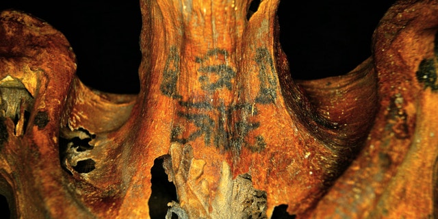 Tattoos found at the mummy's neck show several Wadjet eyes — a sign associated with the divine and with protection.