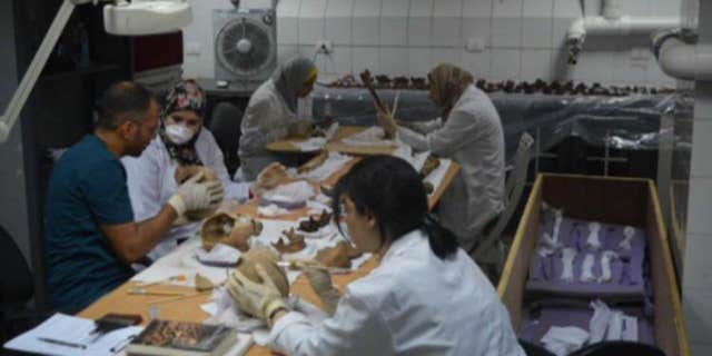 Further analysis will now be conducted on the skeletons (Egyptian Ministry of Antiquities)