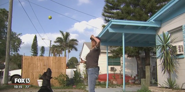Fox 13 Tampa