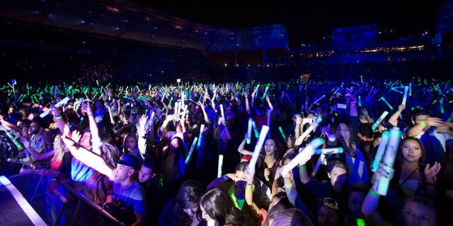People dance as DJ Tiesto performs at the 2014 Wango Tango concert at StubHub Center in Carson, California May 10, 2014. REUTERS/Mario Anzuoni (UNITED STATES - Tags: ENTERTAINMENT) - RTR3OMER