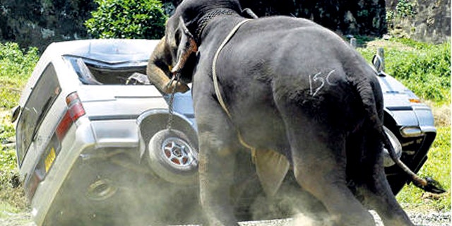 An elephant destoys a minibus after throwing its rider and going on a rampage in Galle, Sri Lanka, in this 2007 photo.