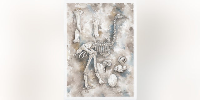 Elephant bird illustration (Credit: Alain_Rasolo).
