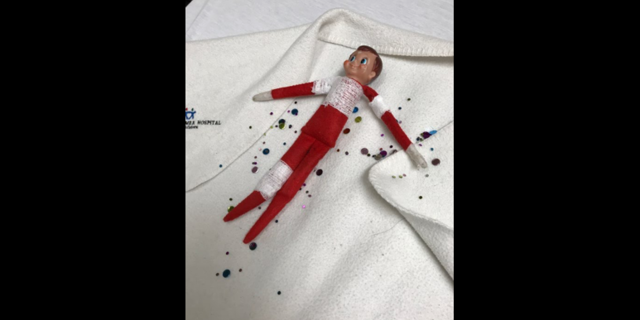 "Sam" was sprinkled with "Christmas magic glitter" to help his recovery.
