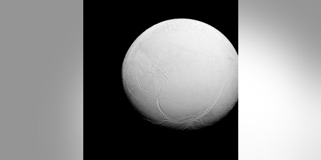 Enceladus, the sixth-largest moon of Saturn, is shown in this photo taken in visible green light with the Cassini spacecraft narrow-angle camera on July 27, 2015 and released on October 27, 2015. (REUTERS/NASA/JPL-Caltech/Space Science Institute/Handout)