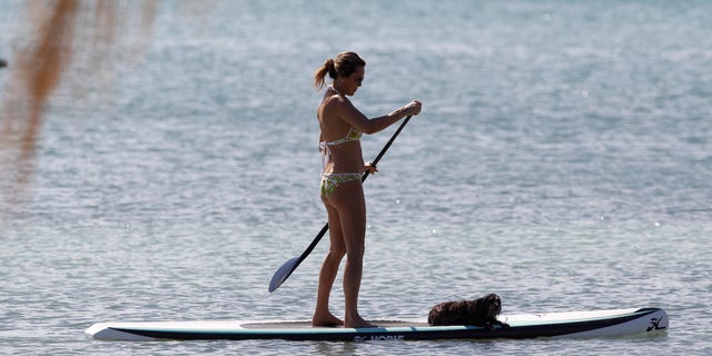 Laura Hernandez (not shown) was paddleboarding in August in Rockport, Mass., when she dropped her phone in the ocean.