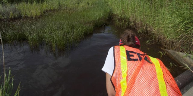 This file photo shows a worker with the EPA.