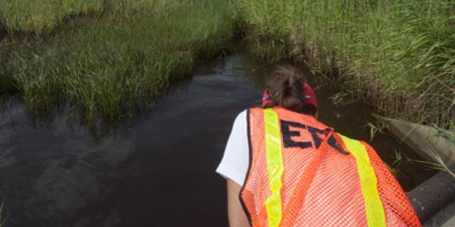 July 7, 2010: An Environmental Protection Agency worker looks at oil from the Deepwater Horizon spill which seeped into a marsh in Waveland, Mississippi.