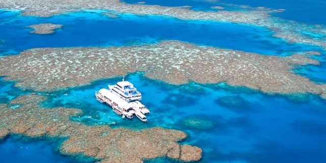 The Great Barrier Reef is the world's largest coral reef ecosystem.