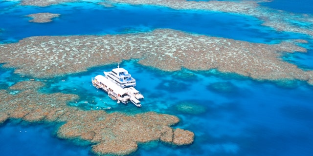 The Great Barrier Reef is the world's largest coral reef ecosystem.