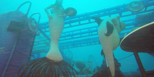 Swim with the mermaids at this underwater art gallery.