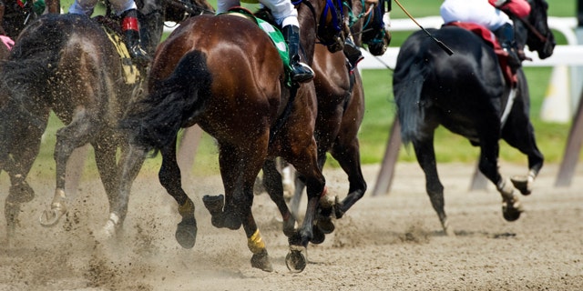 Horse racing on a dirt track as they head down the front stretch to the finish line.