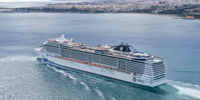 The MSC Divina is hosting the first ever Weight Watchers cruise this May.