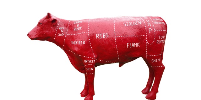 A plastic model of a cow showing names for the cuts of beef inscribed in their positions, isolated on white.