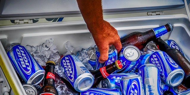 POrt Huron, MI, USA - July 14, 2006: A hand reaches into a cooler box to retrieve a can and bottle of Budweiser Light beer at the Port Huron Sailing regatta in Michigan