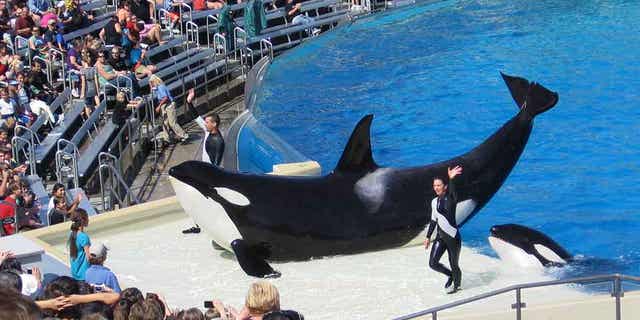 A trainer waves to the audience.