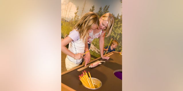 Martin Children’s Discovery Center. Museum of the Rockies.