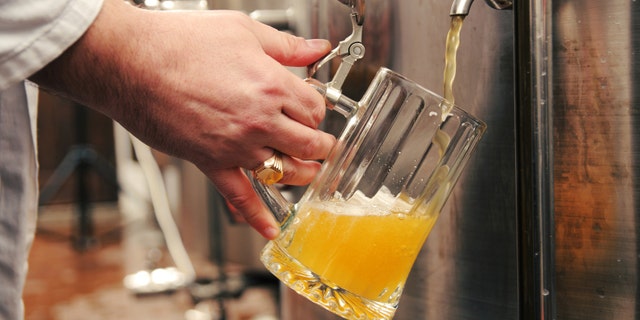 Brewery technologist pouring a fresh beer in the glass.