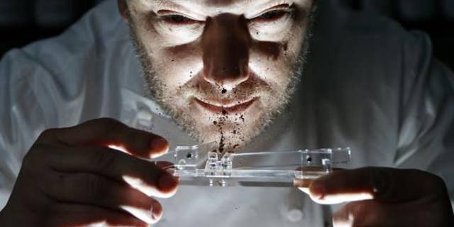 Can snorting chocolate like cocaine be good for you? | Fox News