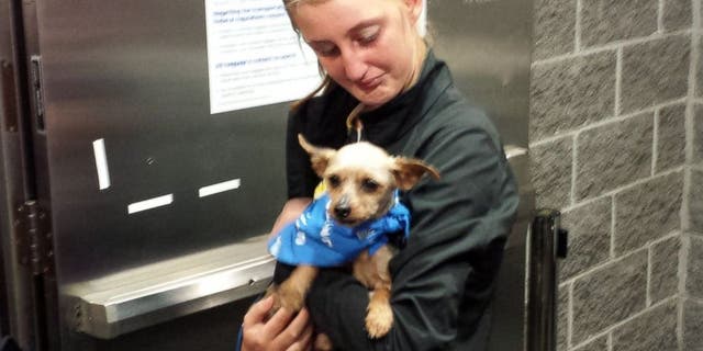 Karisa Lambert of New Orleans is reunited with her terrier Sam after he went missing for nearly four years.