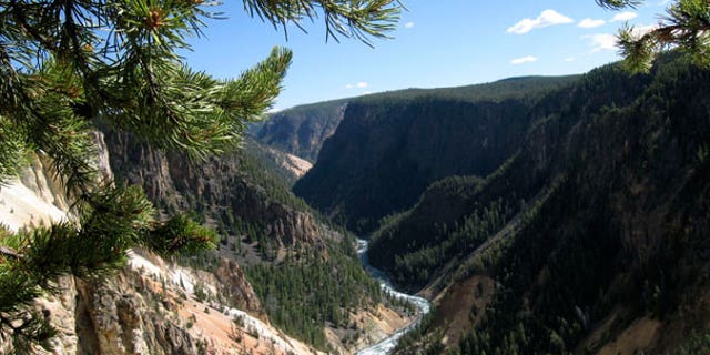 Travel Trip Yellowstone Trip