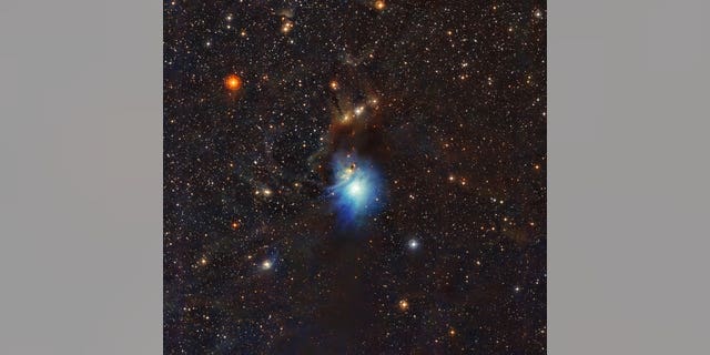 A newly formed star lights up the surrounding cosmic clouds in this image from ESOâs La Silla Observatory in Chile. Dust particles in the vast clouds that surround the star HD 97300 diffuse its light, like a car headlight in enveloping fog, and create the reflection nebula IC 2631. Although HD 97300 is in the spotlight for now, the very dust that makes it so hard to miss heralds the birth of additional, potentially scene-stealing, future stars.