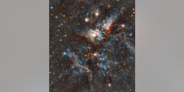 75b59ab7-