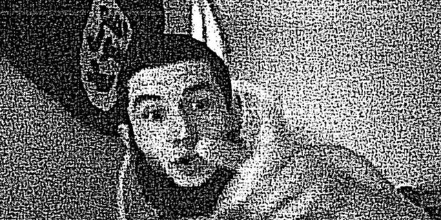 Sajmir Alimehmeti is awaiting trial after being accused of trying to join ISIS and helping other supporters travel overseas.