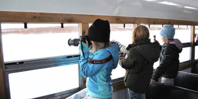 On the lookout for Polar Bears in Northern Canada.