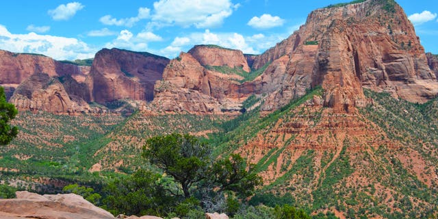 Breathtaking views of Kolob Canyons in Zion National Park.