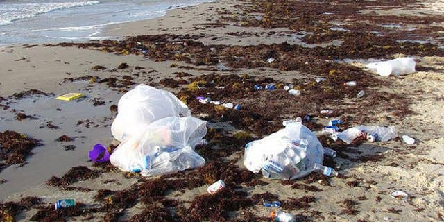 Avoid the trash-strewn beach at Ropes Park.