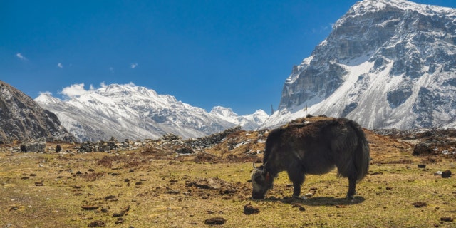 Kangchenjunga