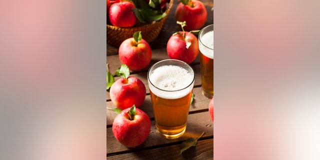 Hard Apple Cider Ale Ready to Drink