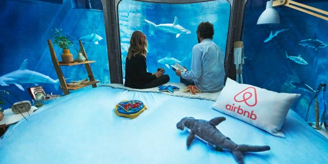Spend a night in the shark tank at the Paris Aquarium.
